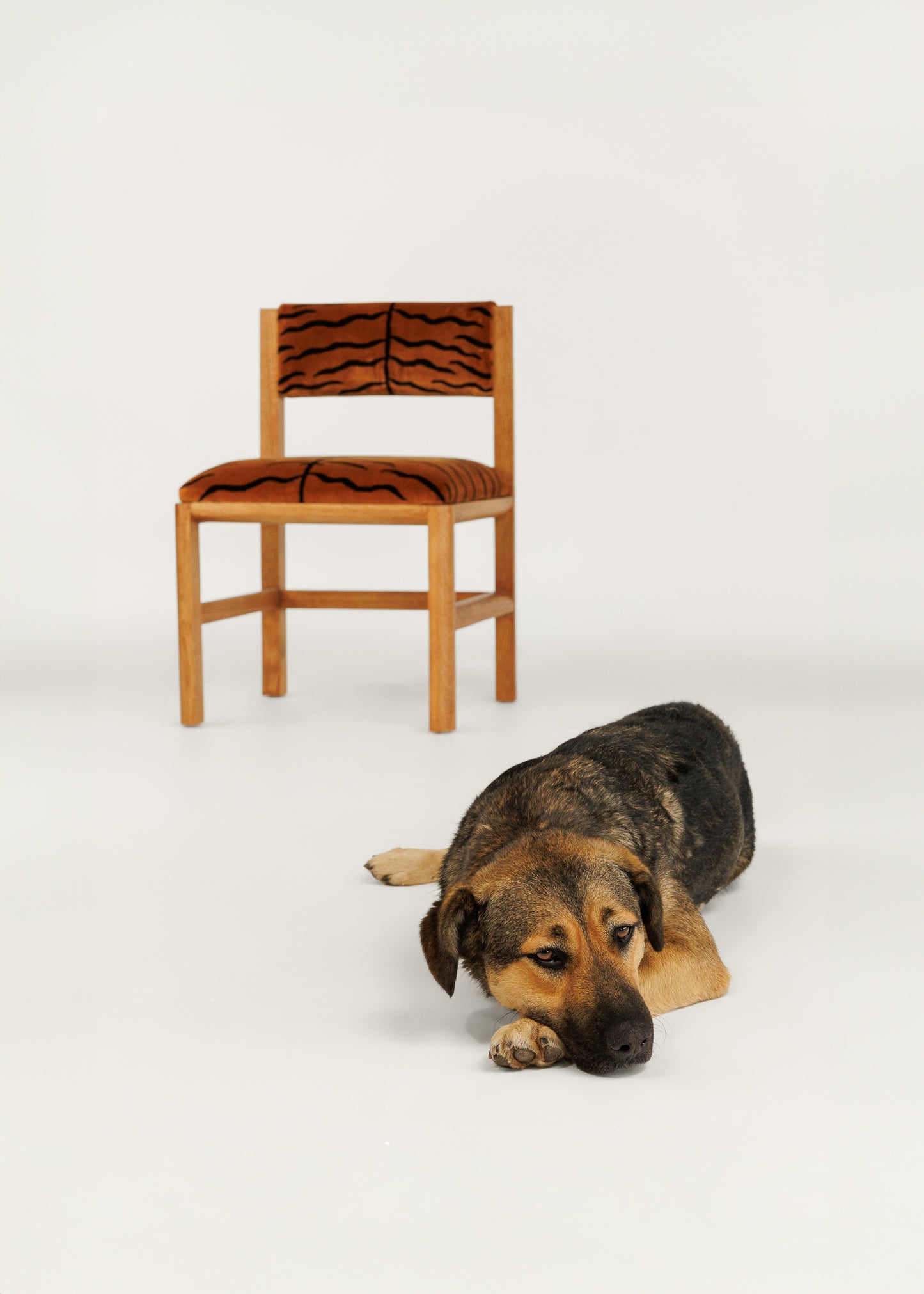 IAM Chair